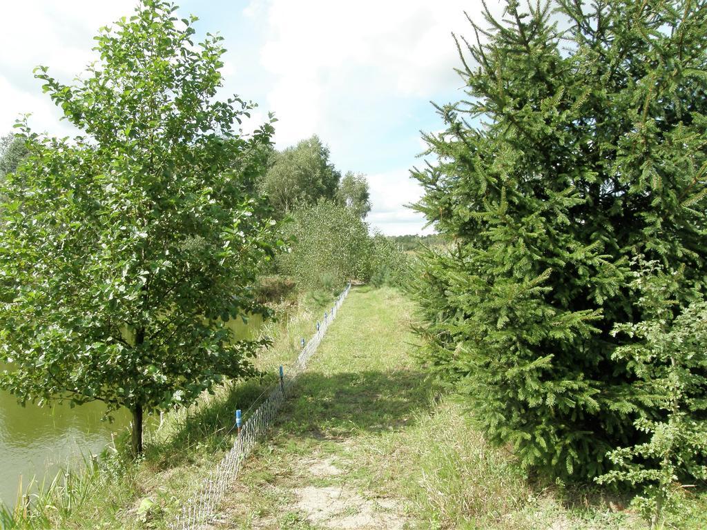 Agroturystyka "Bociek" Belk  Екстер'єр фото